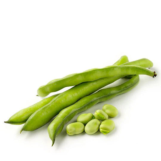 Haba Verde en Vaina