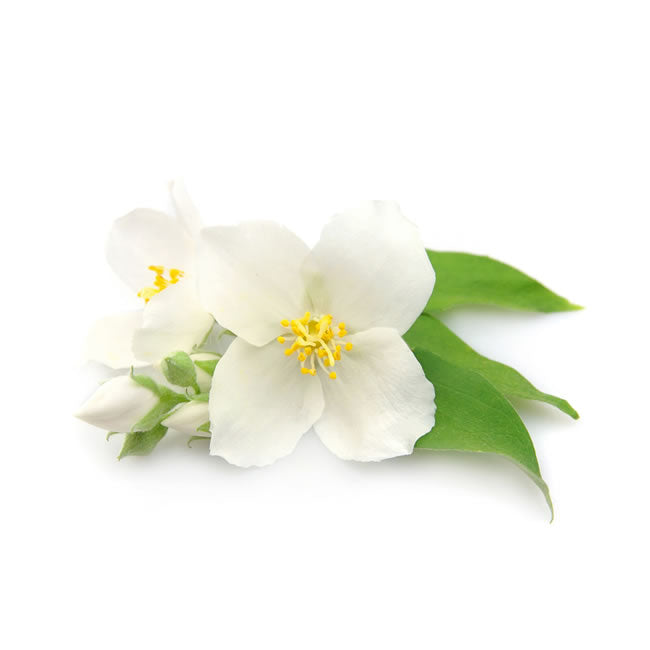 d1386252-3f43-453f-9172-28d175653ab3