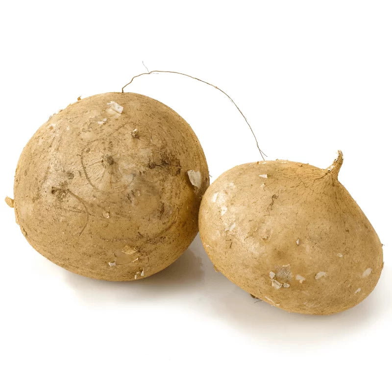Jícama