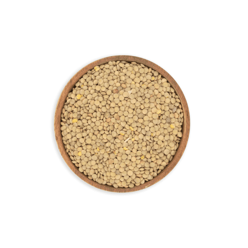 Lenteja Chica - Granel