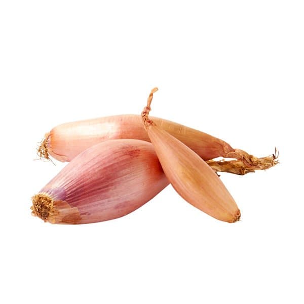 Echalote Americano - Granel