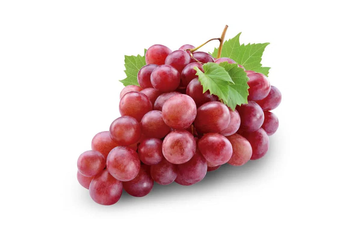 Uva Roja - Granel