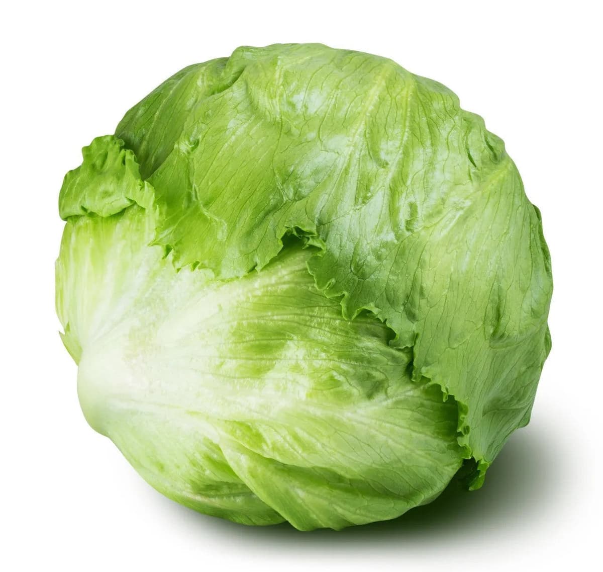Lechuga Romana - Pieza ∼0.50 kg