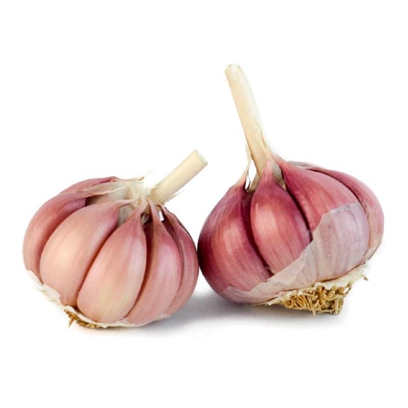 Ajo Criollo - Granel