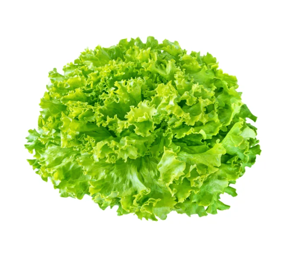Lechuga Italiana - Pieza ∼0.25 kg
