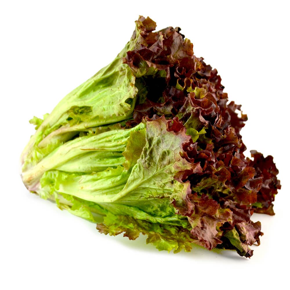 Lechuga Sangría