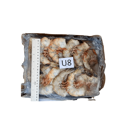 Camarón U-8 - Caja 2 kg
