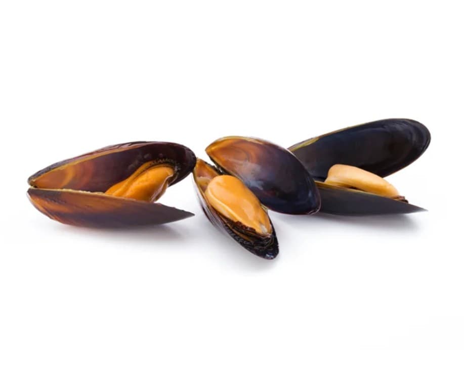 Mejillón Chileno - Pieza 1 kg