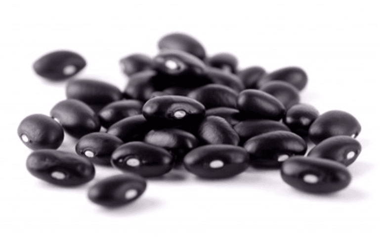Frijol Negro
