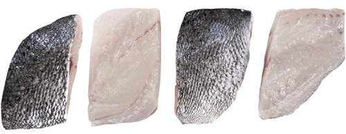 Totoaba Entera Fresca -