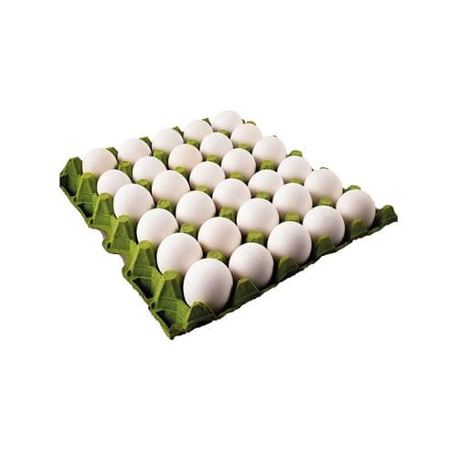 Cono De Huevo Blanco