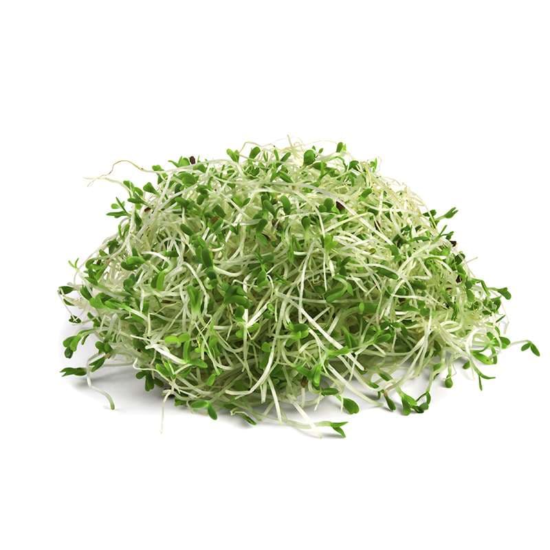 Germen de Alfalfa - Granel