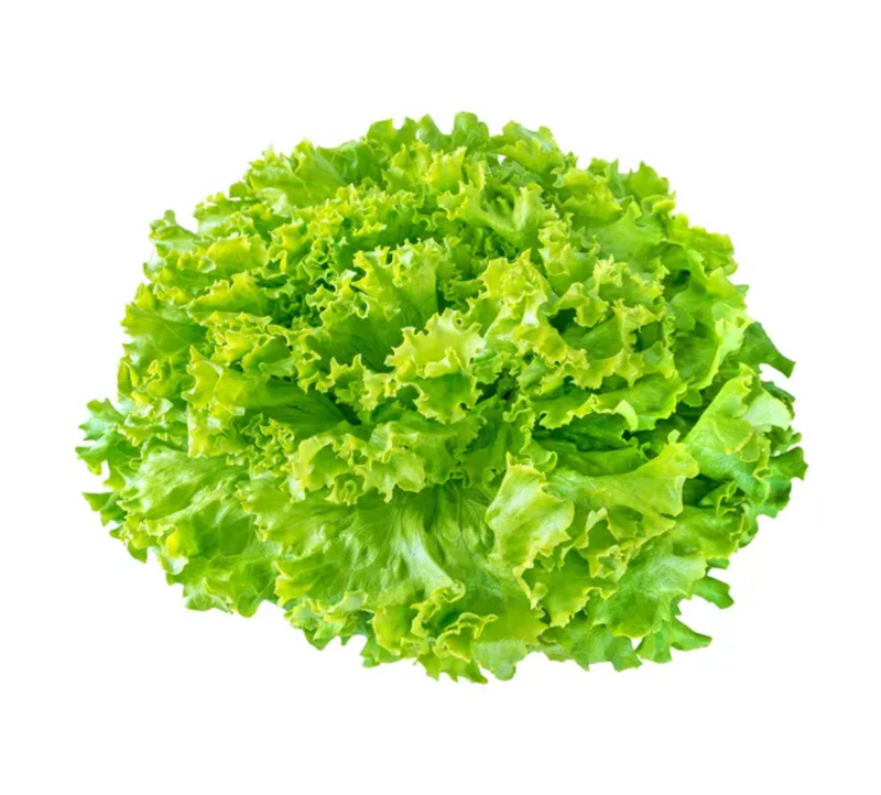 Lechuga Italiana, Pieza ~250g