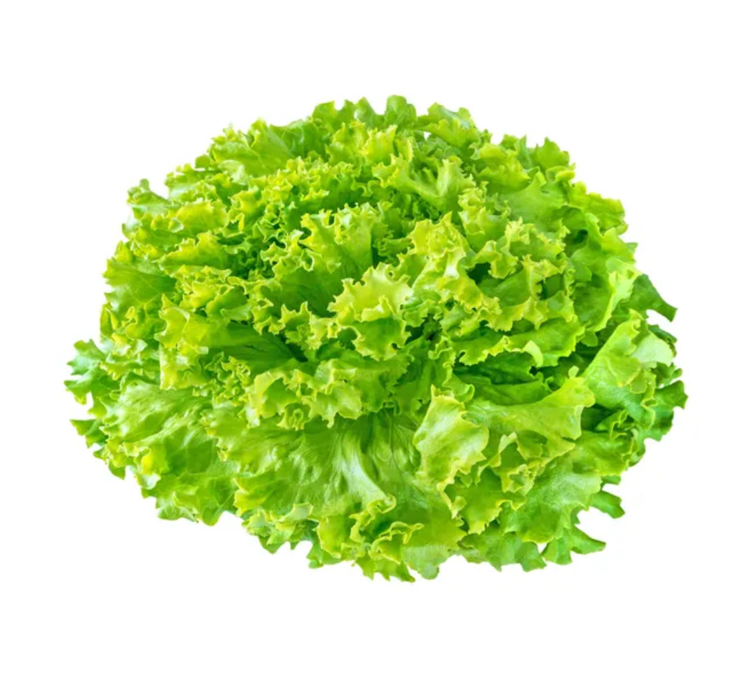 5faa68a8-3c0b-4ca2-b115-9f2a9a4fe7bf
