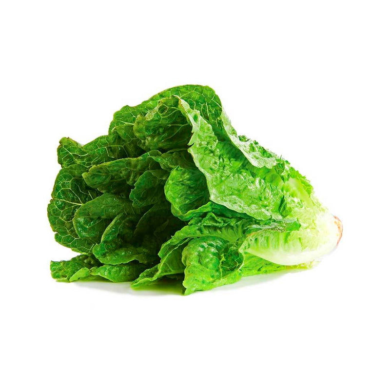 Lechuga Orejona, Pieza ~800g