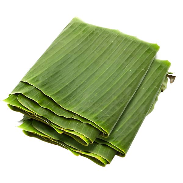 Hoja de Plátano, Manojo