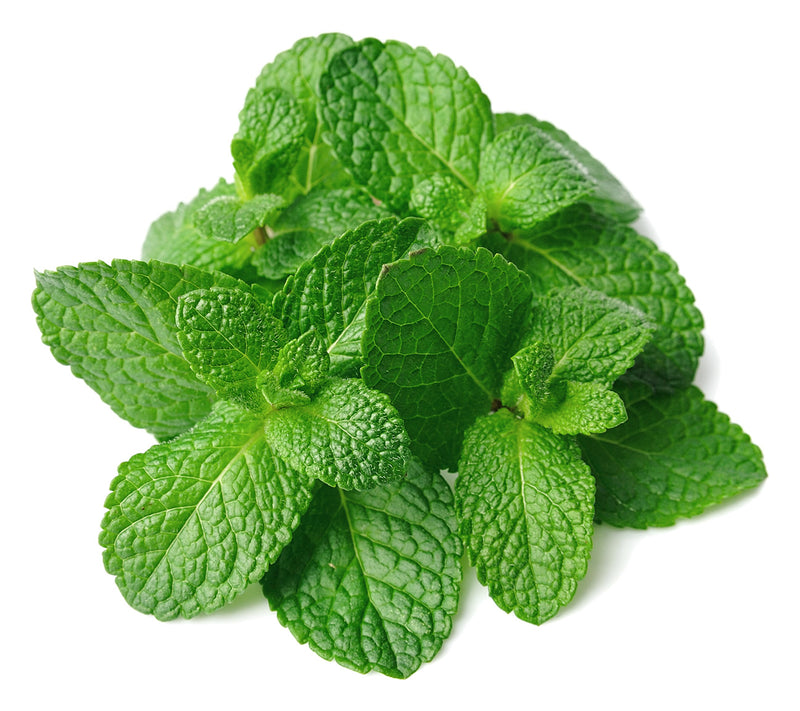 Menta, 1kg