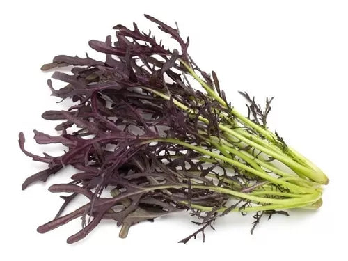 Mostaza Japonesa Morada, 1kg