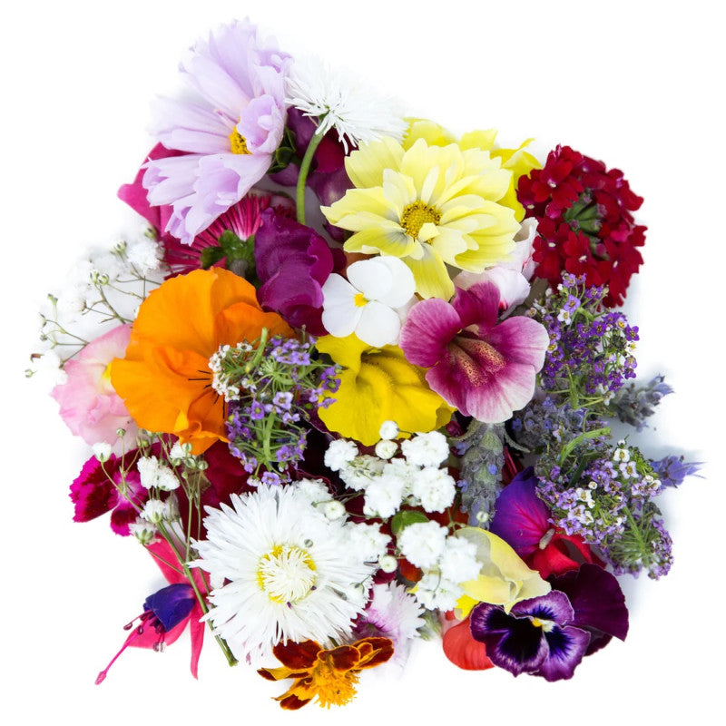 Flores Comestibles, Domo 20g