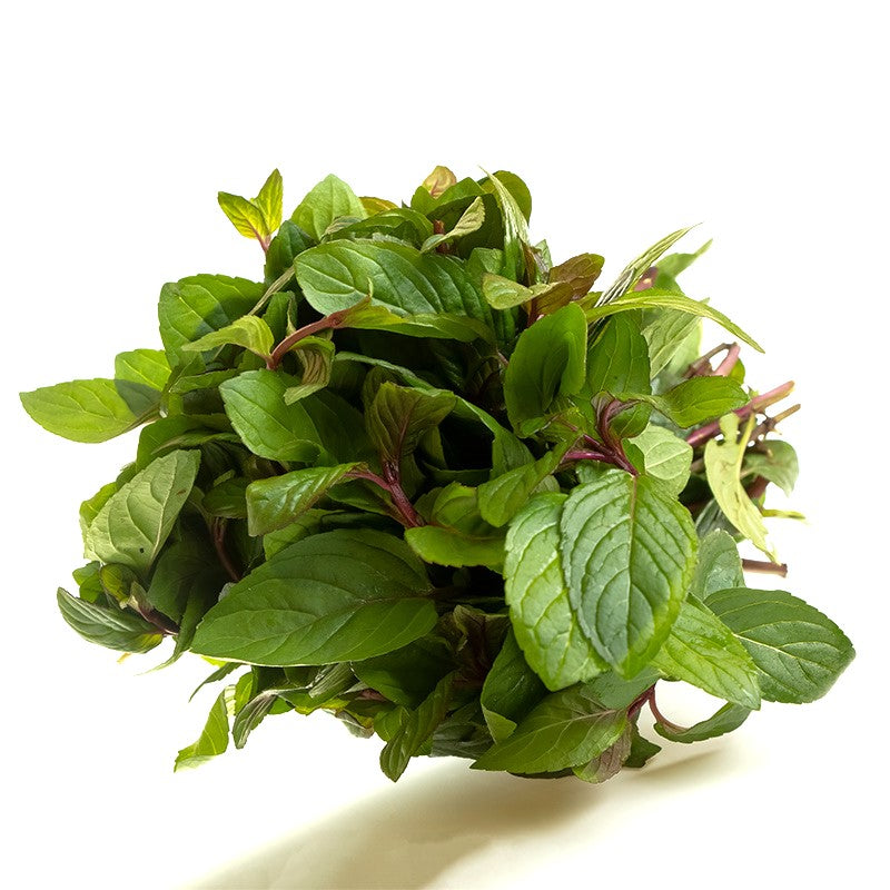 Menta, Manojo 250g