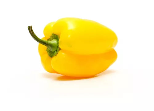 Chile Habanero Amarillo, 1kg