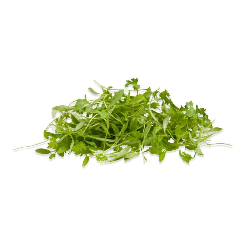 Brotes de Cilantro, Domo 40g