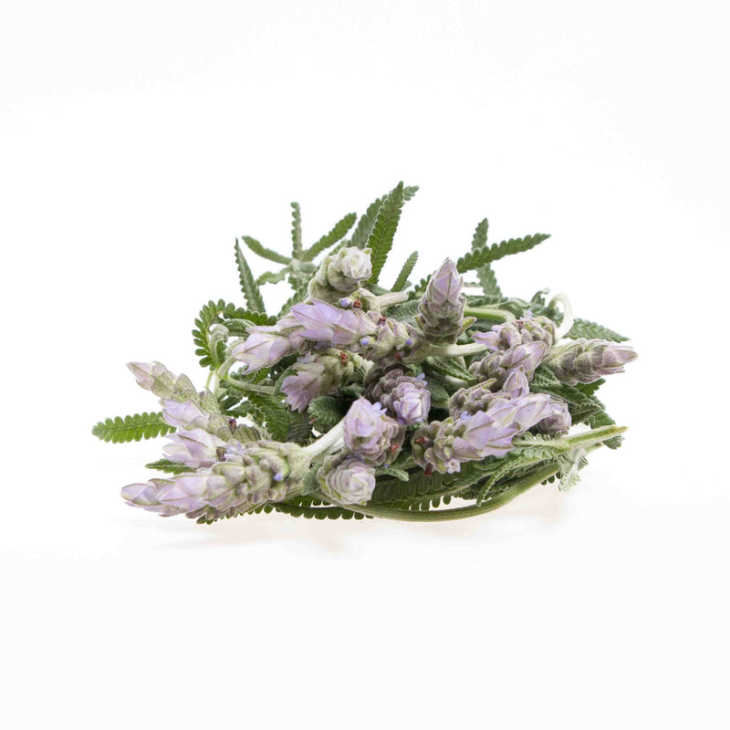 Flor de Lavanda, Domo 45g