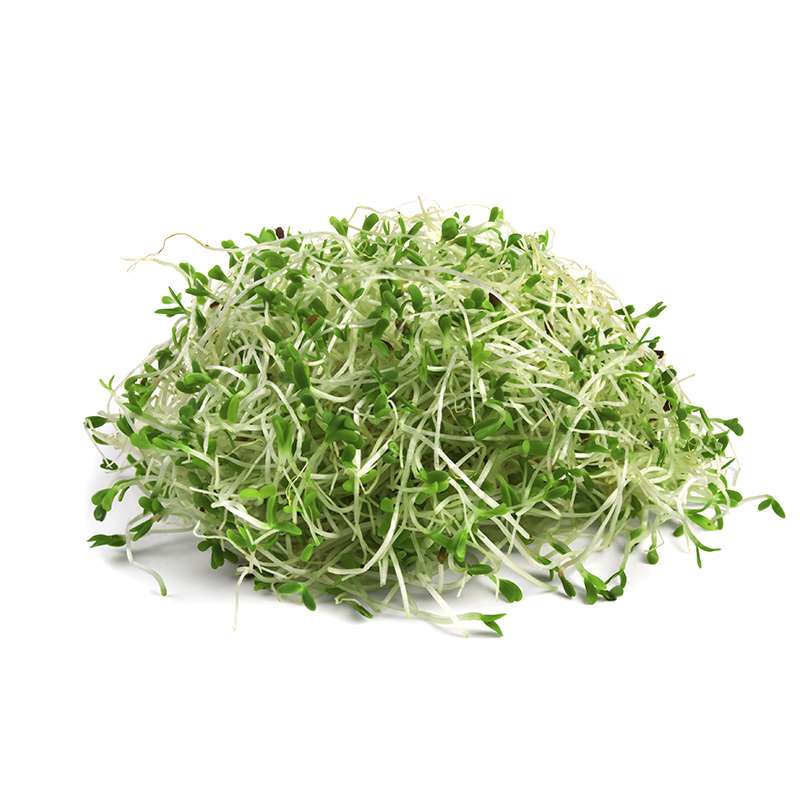 Germinado de Alfalfa, Domo 250g