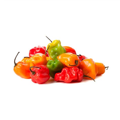 Chile Habanero Mixto, 1kg