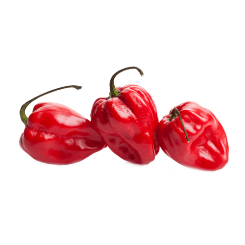 Chile Habanero Rojo, 1kg