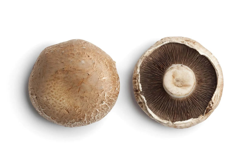 Portobello, Charola 500g