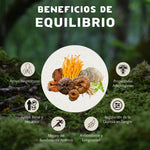 EQUILIBRIO - MEZCLA DE EXTRACTOS DE HONGOS ADAPTÓGENOS LÍQUIDO