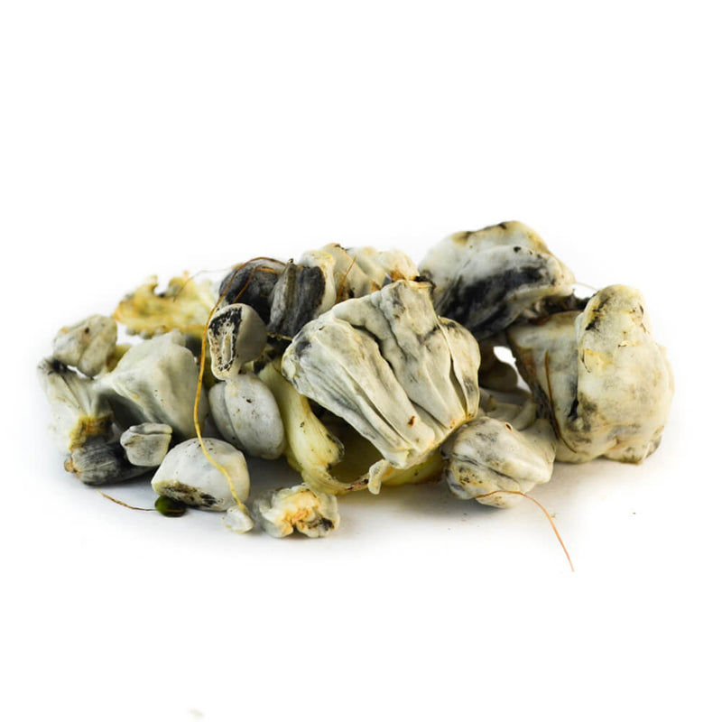 Huitlacoche, 500g