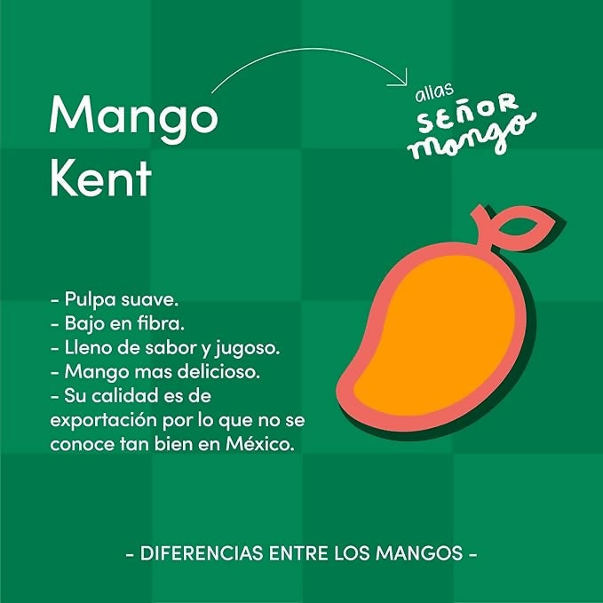 Señor Mango, mucho gusto! | MATCHA | Presentación Chocolate Blanco y Matcha | Mango Kent Deshidratado Orgánico | 100% Mexicano | Snacks Saludables | 1 pieza de 60 g