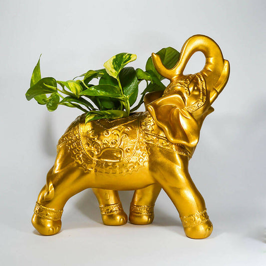 Elefante Abundancia Decorativo