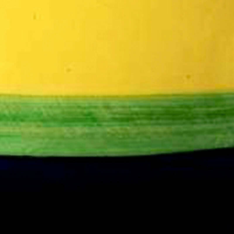 Cazuela Bowl con Asas Amarillo con Verde