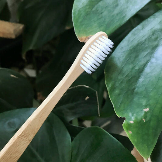 Cepillo de Dientes de Bamboo